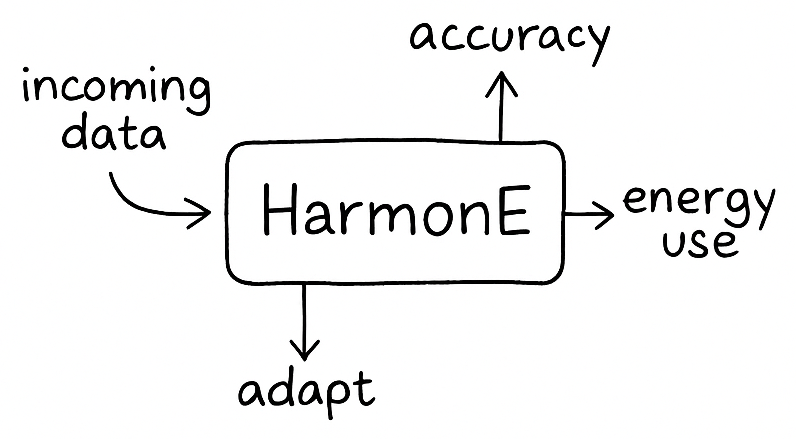 Decision Map Illustration